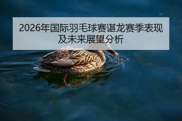 2026年国际羽毛球赛谌龙赛季表现及未来展望分析